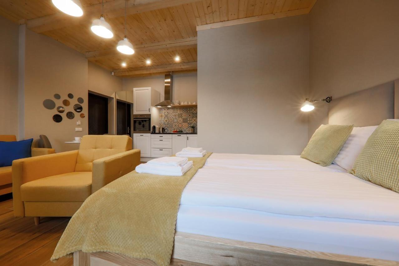 Apartamenty Mecenasowka ザコパネ エクステリア 写真